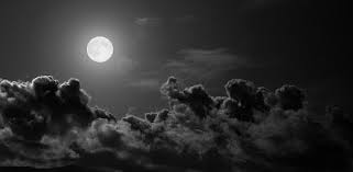 Looking for the best wallpapers? Black Wallpapers Dark Theme Backgrounds 4k On Windows Pc Download Free 1 2 Com Black Loveomni