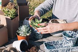 @urbanoutfitterseu tap view shop to shop our instagram! Unboxing Uo Grow Urban Outfitters Blog