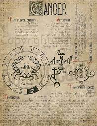 By dadhichi toth from astrology.com.au. Pin On Karma