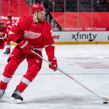The washington capitals selected vrana in the first round (no. Capitals Acquire Anthony Mantha From Red Wings For Jakub Vrana Richard Panik And Picks Japers Rink