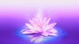 30 Minute Meditation Music For Positive Energy Balance Harmony Music Relax Mind Body Youtube