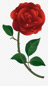 Pink rose wallpaper hd free. Clip Art Roses Red Rose Vector Free Download Png Download 5502101 Pinclipart