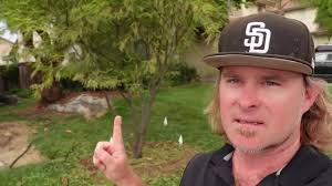 Grass to Glory in...