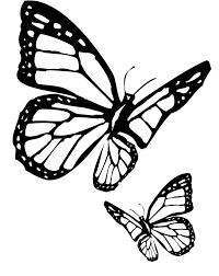 Posts Related To Two Butterfly Dark Coloring Pages Images Butterflies For Coloring Jpg 2406 3028 Butterfly Coloring Page Insect Coloring Pages Flower Sketches