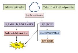 Genetic Polymorphisms Of Cytokine Genes In Type 2 Diabetes