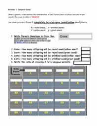 Punnett square dihybrid cross worksheet answer key. Reindeer Genetics Worksheet