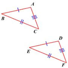 Cell membrane coloring worksheet answer key. Proving Triangles Congruent Worksheets