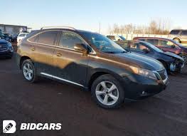 Image result for Truffle 2010 RX