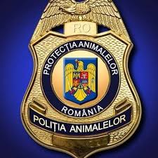 Politia romana scoate la concurs 49 de posturi de ofiter de politie, 86 de posturi ofiter cu specializarea medic veterinar si 129 de posturi de agent de politie. Se InfiinÈ›eazÄƒ PoliÈ›ia Animalelor Se Fac AngajÄƒri Gazetagalatiului