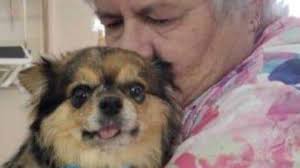 Fundraiser by Leslie Hutchins-Ruch : Help Leslie and Oscar this one time!