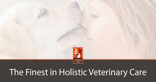 Holistic health care for pets. Holistic Veterinary Care Oakland Ca