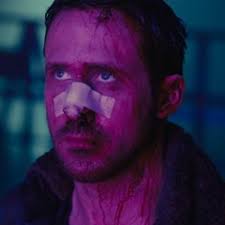 Stream Shane Steck music