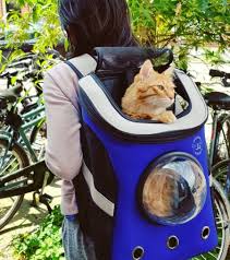 Jason galaxy is well known as an expert in feline behavior, so who better to create a line of products for your cats! Win A Jackson Galaxy Convertible Cat Backpack Carrier The Purrington Post