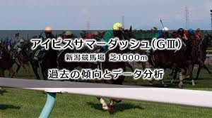 アイビスサマーd g3 日程:2021年7月25日 ( 日) 新潟／芝1000m. Ajyig34z3olrpm