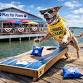 Play for Paws Annual Cornhole tournament