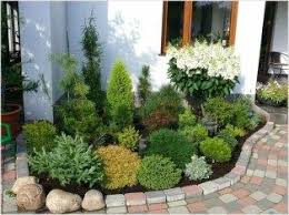 Pin By Regina Rehrl On On The Outside Shrubs For Landscaping Small Front Yard Landscaping Evergreen Landscape