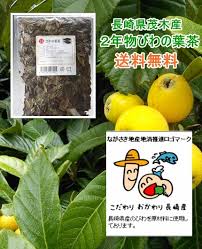 ２年物びわの葉茶 びわ茶 100ｇ 1480円 33ℓ分 長崎茂木産 送料無料 無農薬 長崎県地産地消推進ロゴマーク商品 よかもん市場