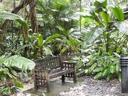 Tischlein Deck Dich Small Tropical Gardens Tropical Garden Singapore Botanic Gardens