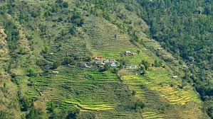 Farming in Nepalese Mountains | Agriculture Diary