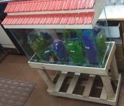 Maybe you would like to learn more about one of these? Fish Tank New 2 1 2 Feet With 8 Mm Thickness With Top Stand à¤®à¤›à¤² à¤• à¤Ÿ à¤• Raj Fish Aquarium Chennai Id 20344340788