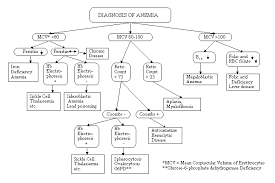 Anemia Flow Chart Usdchfchart Com