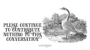 Bird Bird Bird Bird Is The Word Timbaland Instagram Post By Effin Birds Aug 31 2019 At 2 00pm Utc Comedian Quotes Effin Workplace Humor