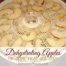Apples of sour varieties after drying will have a better taste than dehydrator is the best device for drying apples which provide convenient fruit processing. Dehydrating Apples To Make Dried Apple Rings And Apple Chips Schneiderpeeps