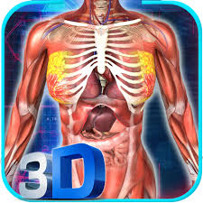 This article looks at female body parts and their functions, and it provides an interactive diagram. Female Anatomy 3d Female Body Visualizer Apps Bei Google Play