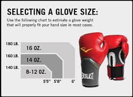 Everlast Pro Style Training Boxing Gloves India