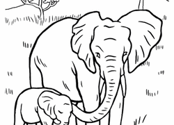 Our elephant coloring pages are free and easy to print. Elephant Coloring Pages Printables Education Com