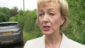 119 John Andrea Stock Videos, Footage, & 4K Video Clips