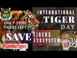 The someday or one day original tv soundtrack (ost) (想見你 電視原聲帶) was released on may 6, 2020 by various artists, and was published by rock records. 3ncild4yodnlzm