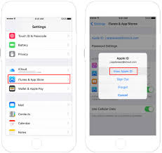 Store credit, from redeeming gift cards or from adding funds to your apple id. How To Change Itunes And Apps Store Payment Method To Use Alipay