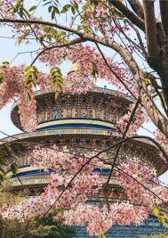 We did not find results for: Baiyang Temple Of Heaven The Perfect Taichung Day Tour Hoponworld
