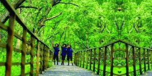 Ratusan polisi wanita hutan pakistan harus menjaga hutan bakau terbesar di dunia. 10 Hutan Mangrove Di Indonesia Yang Dibuka Untuk Destinasi Wisata Tempatwisataunik Com