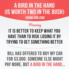 Bird In Hand Market A Bird In The Hand Is Worth Two In The Bush Means It Is Better To Keep What English Idioms English Phrases Idioms And Phrases