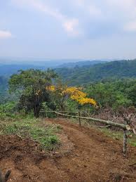 JL's New Life Properties added...