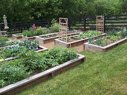 Planning Your Vegetable Garden Sloped Garden Garden Layout Vegetable Garden Layout