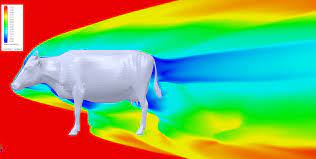 Cows are quite aerodynamic and have been known to reach speeds up to 120mph. Can Cows Fly Floefd Investigates Part 3 Superbly Sonic Simulating The Real World