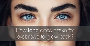 Brow artist sania vucetaj of sania's brow bar in new york city prefers. How Long Does It Take For Eyebrows To Grow Back Amalie Blog