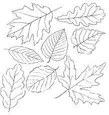 Color pictures of autumn leaves, pumpkins, scarecrows color pictures of autumn leaves, pumpkins, scarecrows, apple trees and more! Pin On Sketches
