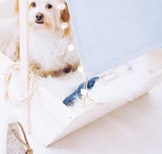 Kinderbilder pur unverfälscht und fantasiereich illustriert lassen sich mit punch needling wunderbar auf textilien übertragen. Ahoi Und Leinen Los Ein Segelboot Als Diy Hundebett Titatoni