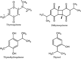 Yönetimindeki 03 kh 161 plakalı mercedes marka kamyon ile çarpıştı. Therapeutic Perspectives Of The Black Cumin Component Thymoquinone A Review Food Function Rsc Publishing