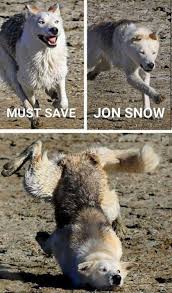 Pin On Cosas Que Molan