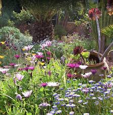 Résultat de recherche d'images pour "images jardin mediterraneen albarda"