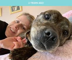 This picture says it all 😢 It's hard to lose a dog, but you know they're  over the "rainbow bridge" looking after you.