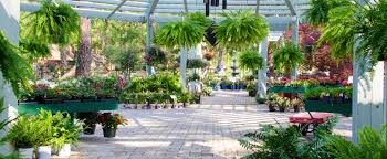 Enjoy the videos and music you love, upload original content, and share it all with friends, family, and the world on youtube. Home Tallahassee Nurseries Tallahassee S Premier Garden Center Landscaping