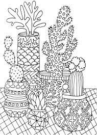Check spelling or type a new query. Best Succulent Cactus Coloring Books Pages Cleverpedia