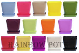 Some plant pots can be shipped to you at home, while others can be picked up in store. Decor Square Flower Pots Colours Gloss Plastic Plant Pots Planter Saucer 14 Colours And 4 Sizes To Choose From Yellow Pastel 20 Cm 7 9 Inch Buy Online In Antigua And