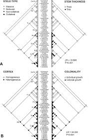 Image result for Polyphlebium borbonicum
